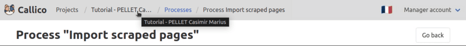 Navigate back to your project from the process page