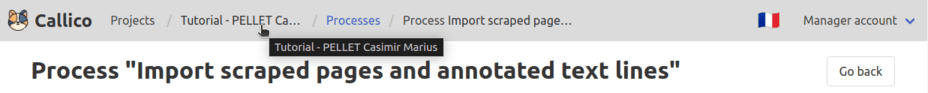 Navigate back to your project from the process page